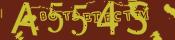 Retype the CAPTCHA code from the image